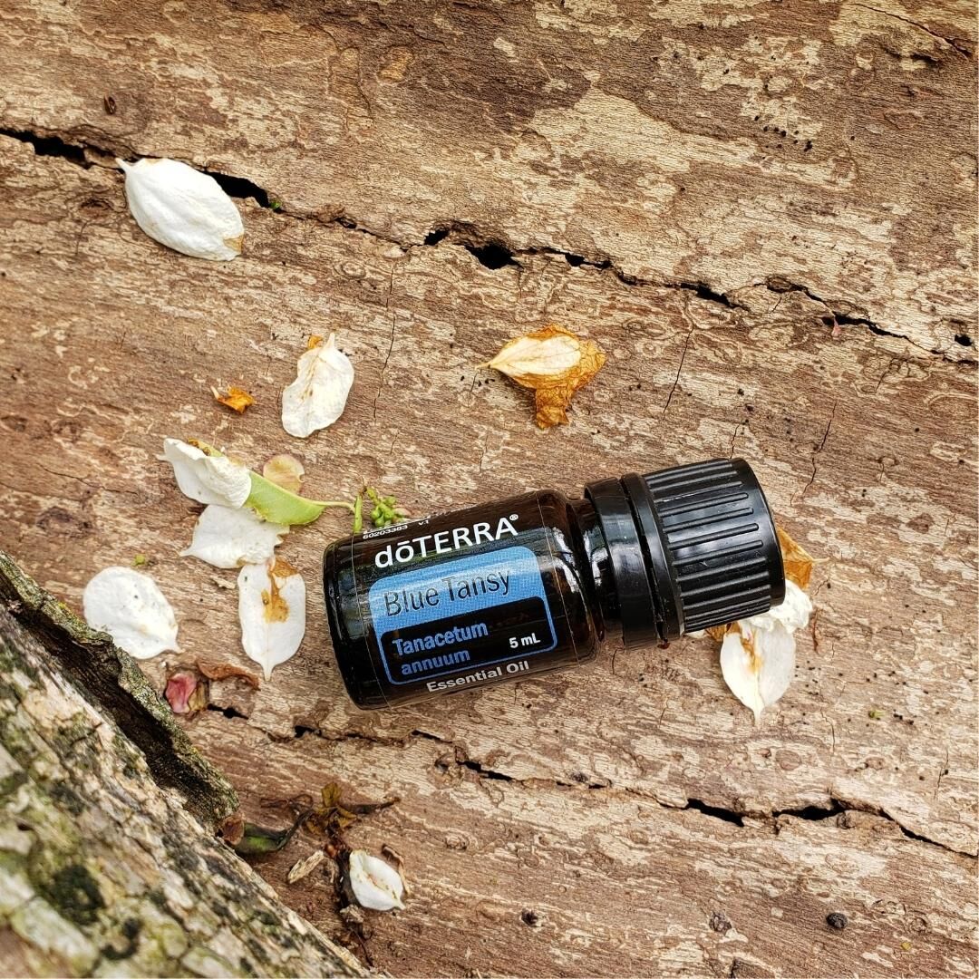 dōTERRA Blue Tansy 5mL DoTERRA Blue Tansy Essential Oil 5ml